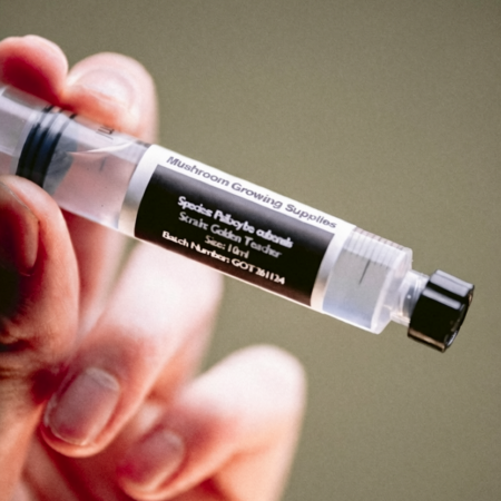 An image depicting a hand holding a microscopy spore syringe.