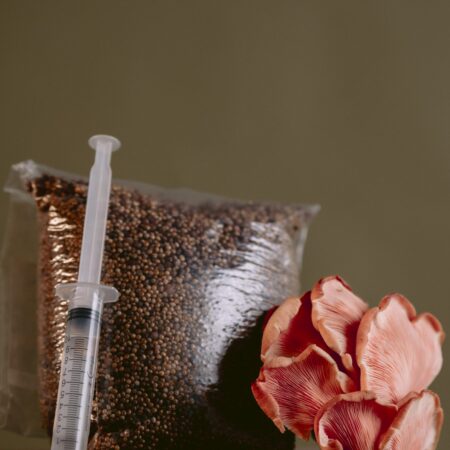 Sterile Mushroom Millet Grain Bag