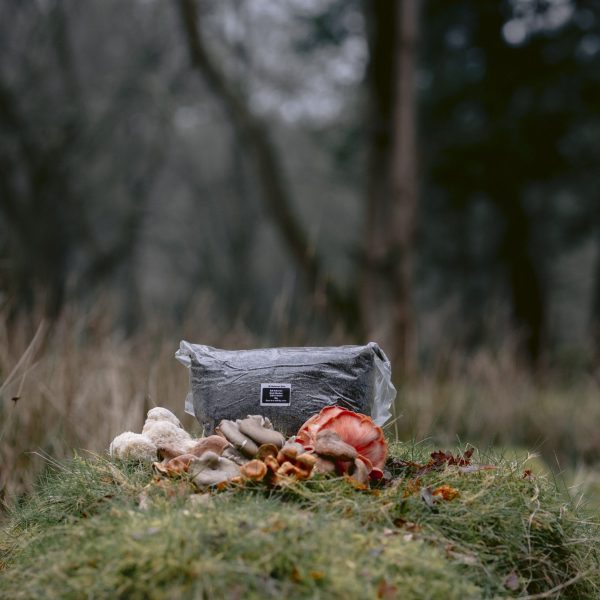 Sterilised CVG Mushroom Coir Vermiculite Gypsum Mix