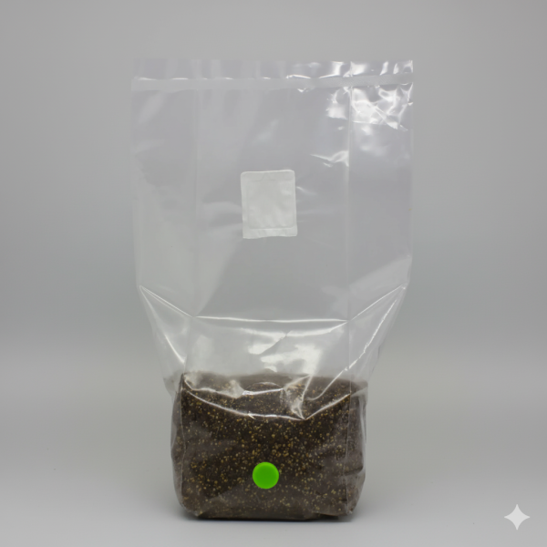 Inject & Grow All-In-One Mushroom Grow Bag